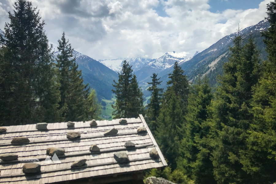 Steine, damit das Dach nicht wegfliegt. Wald im Aufstieg. Foto: David Kurz