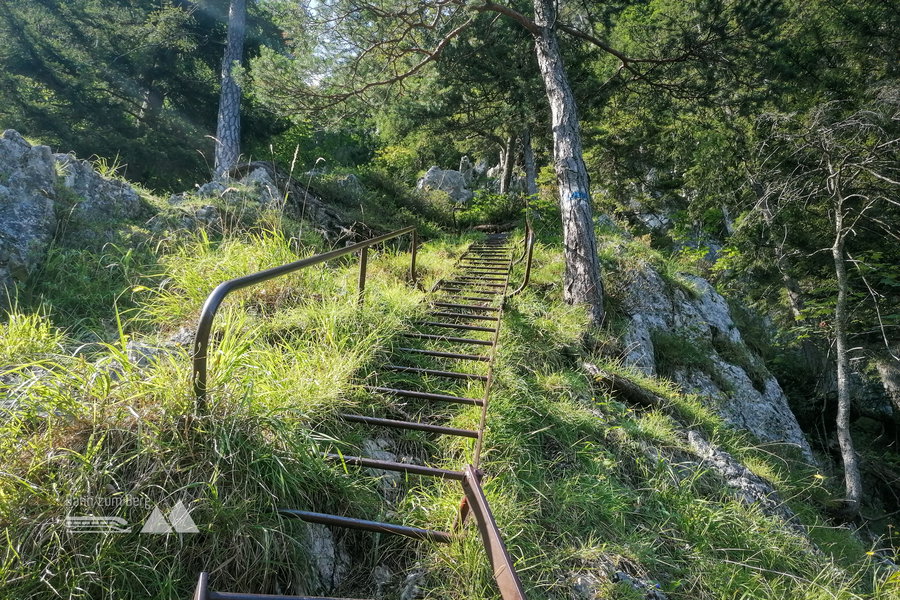 Leitern über Leitern am Wachthüttelkammsteig. Foto: Sarah Pallauf