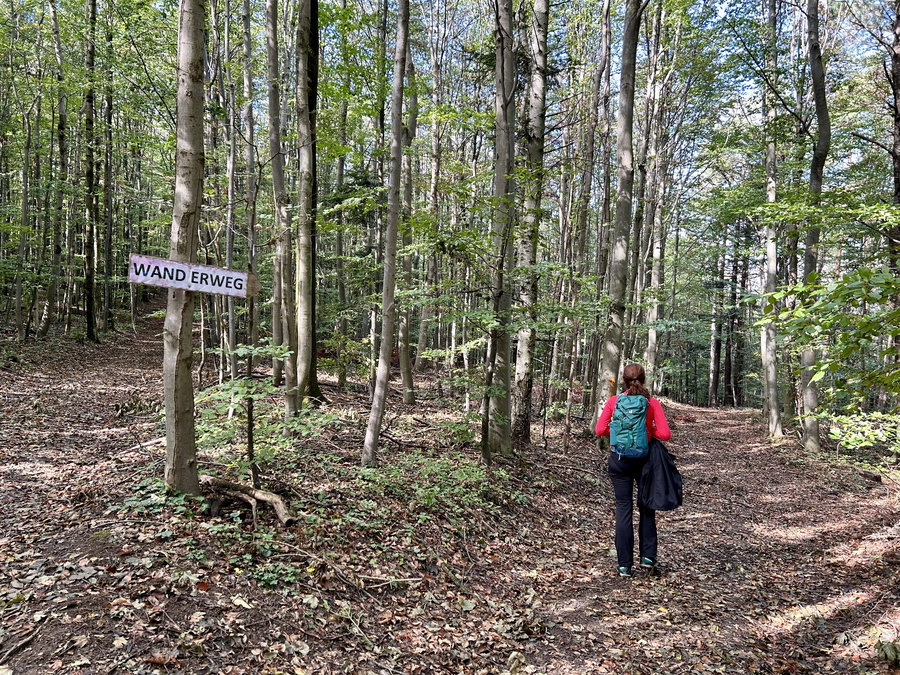 Viele Wege führen nach Maria Raisenmarkt, auch dieser. Foto Veronika Schöll