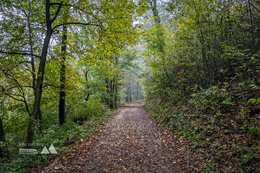 Waldbaden auf dem Weg zur Ruine Gösting. Foto: Anna, POW AT