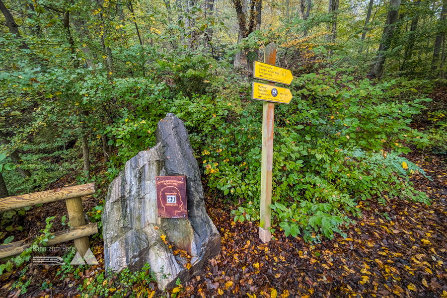 Ein Wegabschnitt gehört zum Arnold Schwarzenegger Wanderweg. Kein Wunder, dem in Thal geborenen Ex-Bodybuilder und -Gouvernor kann man in seiner Heimat kaum aus dem Weg gehen. Wir wollen aber heute auf den Plabutsch und verlassen Arnies Wanderweg an dieser Stelle schon wieder. Foto: Anna, POW AT