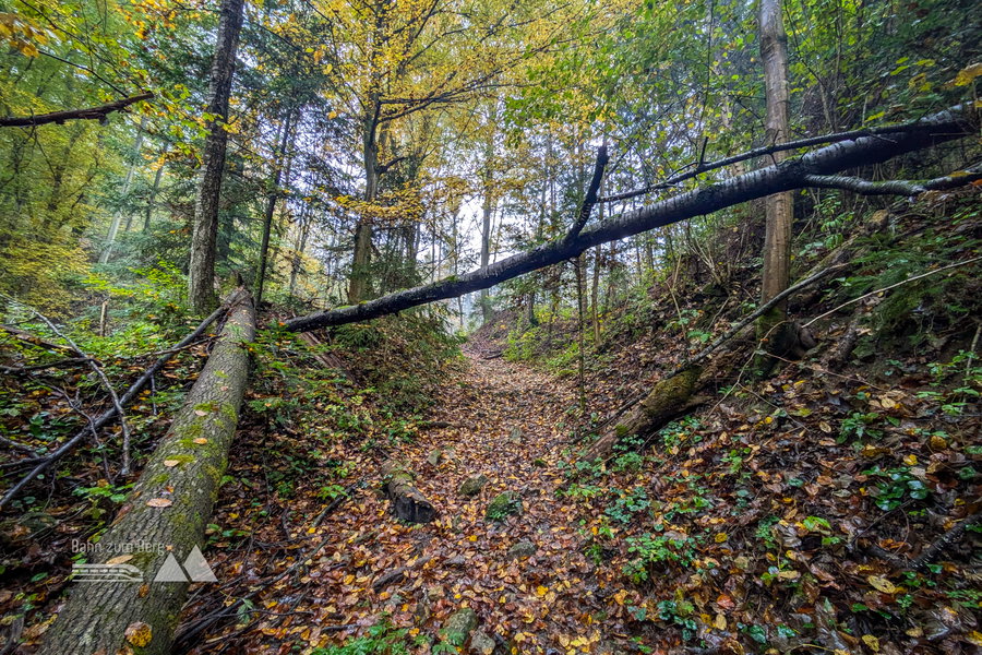 Impressionen von unterwegs. Foto: Anna, POW AT