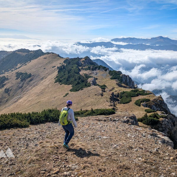 Dieser Routenverlauft lässt wirklich keine (Aussichts-) Wünsche offen! Foto: Anna, POW AT