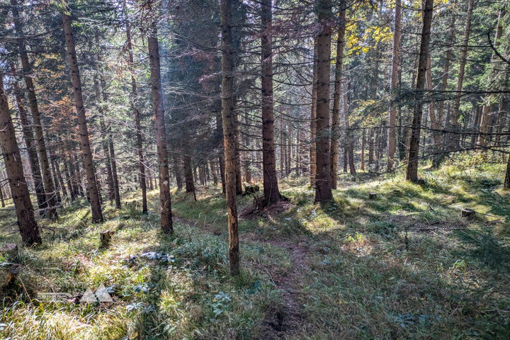 Weitere Impressionen vom Abstieg nach Kammern. Foto: Anna, POW AT