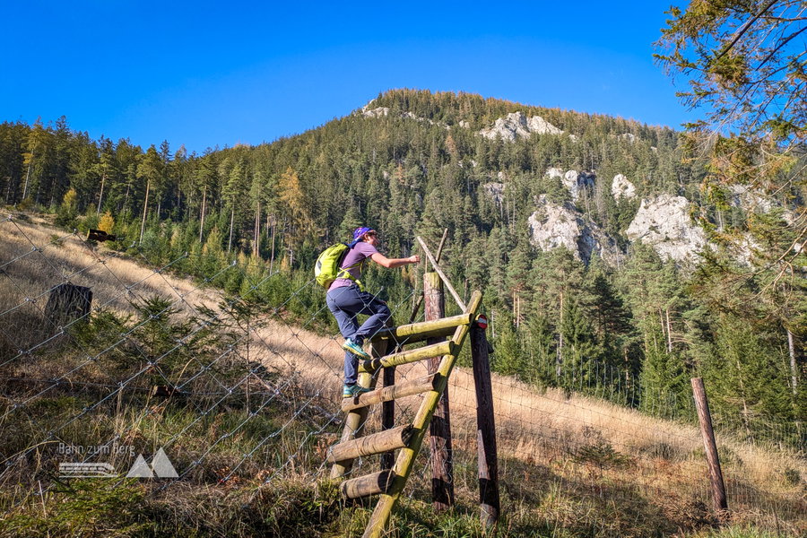 Als letzte Schwierigkeit des Tages müssen wir einen Zaun überwinden. Gut, dass es hier eine Leiter gibt ;) Foto: Anna, POW AT