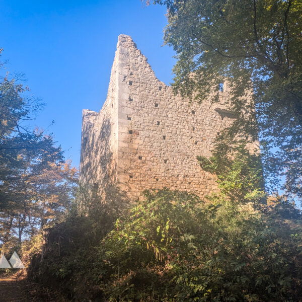 Der Römerturm der Ruine Alt-Wildon. Foto: Anna, POW AT