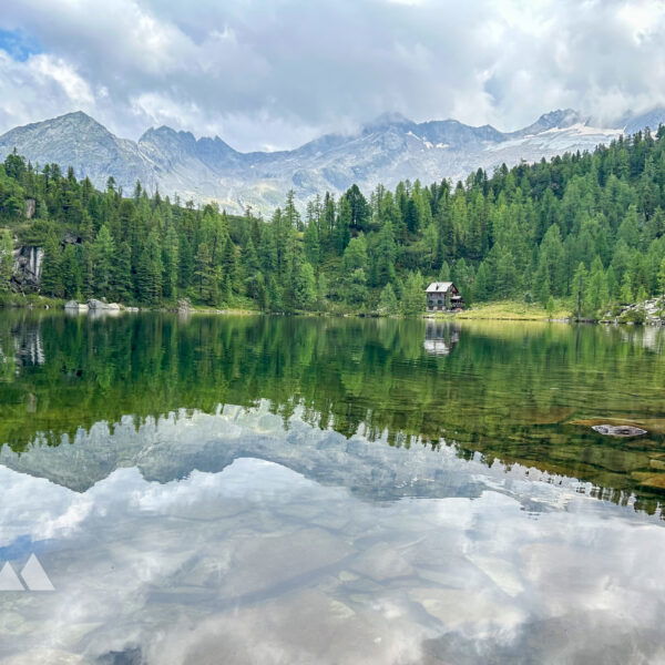 Reedsee. Foto Veronika Schöll