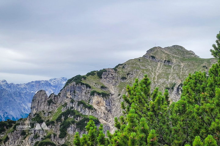 Foto: Julia Büchler