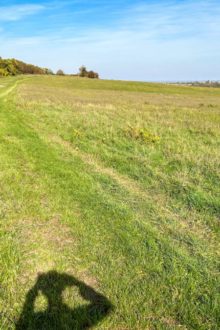 Am Weg zur Grenze. Links Österreich und rechts Ungarn :-) Fotos Veronika Schöll