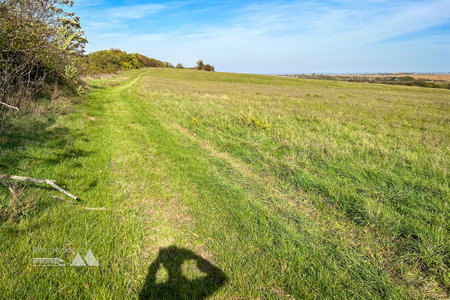 Am Weg zur Grenze. Links Österreich und rechts Ungarn :-) Fotos Veronika Schöll