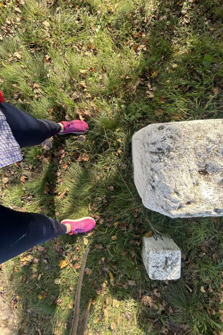 Am Weg zur Grenze. Links Österreich und rechts Ungarn :-) Fotos Veronika Schöll