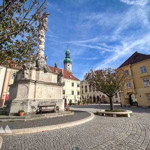 Von Sopron nach Mörbisch, Rust oder Illmitz
