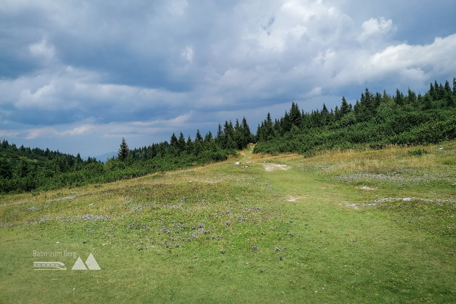 Unter Beobachtung: Die dunklen Wolken. Foto: Sarah Pallauf