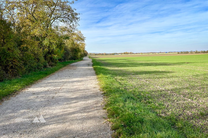 Zwischen Müllberg, Feldern, Schnellstraße und Naturschutzgebiet. Fotos Veronika Schöll
