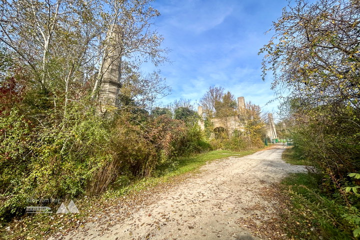 Schätze im Norbert-Scheed-Wald. Fotos Veronika Schöll