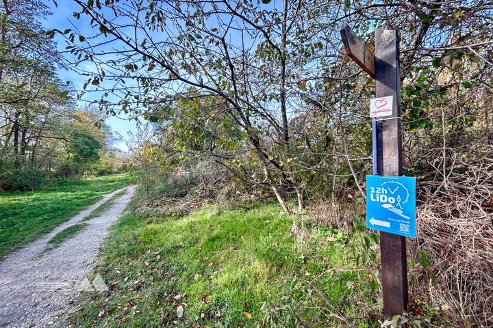 Zwischen Müllberg, Feldern, Schnellstraße und Naturschutzgebiet. Fotos Veronika Schöll