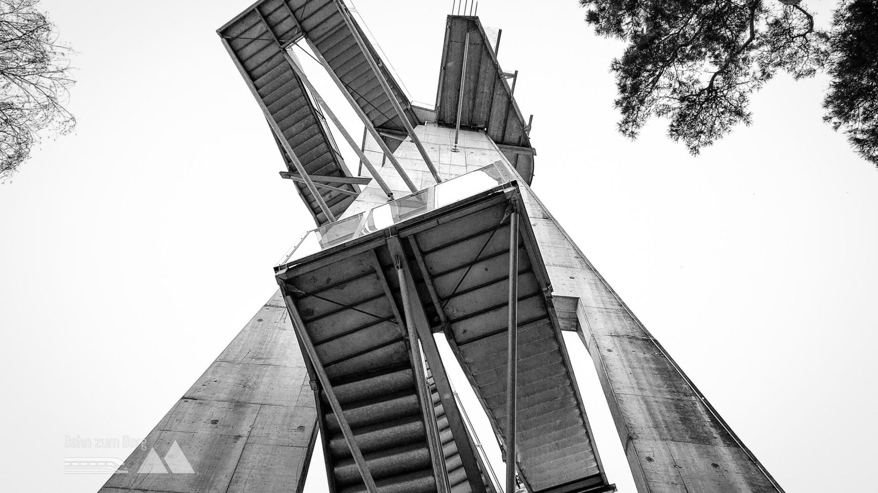 Aussichtsturm Kleeberg aus der Froschperspektive. Foto: Alice Frischherz