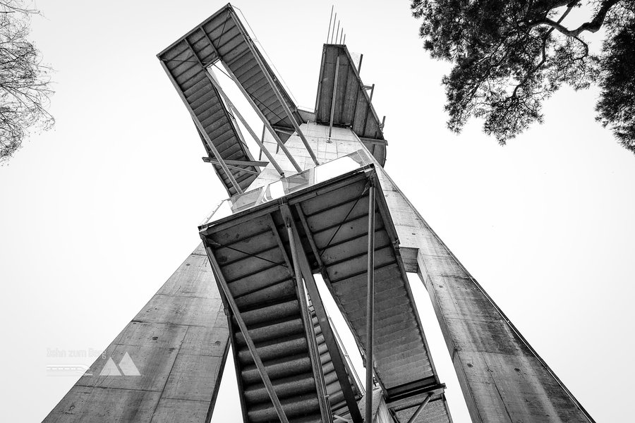 Aussichtsturm Kleeberg aus der Froschperspektive. Foto: Alice Frischherz