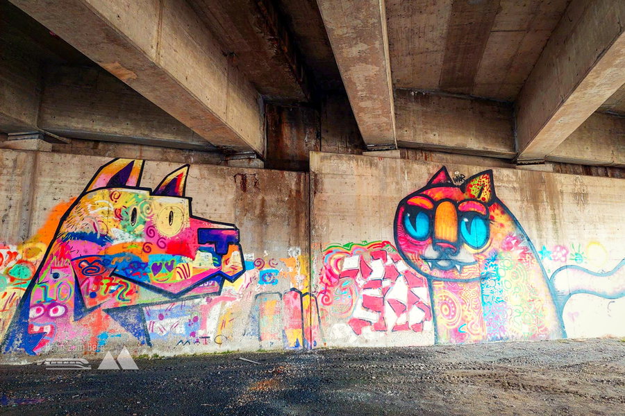 Wo Hund und Katz´ sich treffen, unter der Autobahnbrücke. Foto: Alice Frischherz