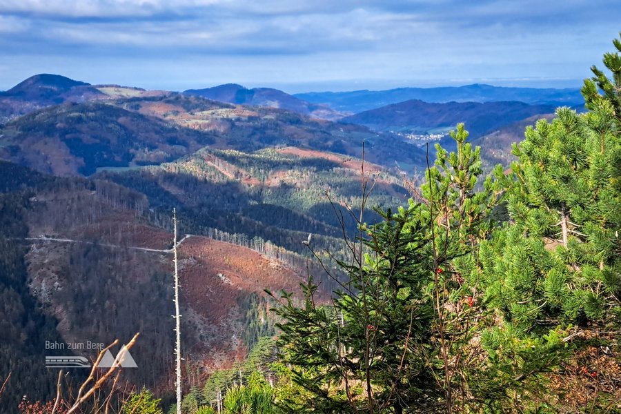 Ausblick vom Enziansteig. Foto: Gerold Petritsch