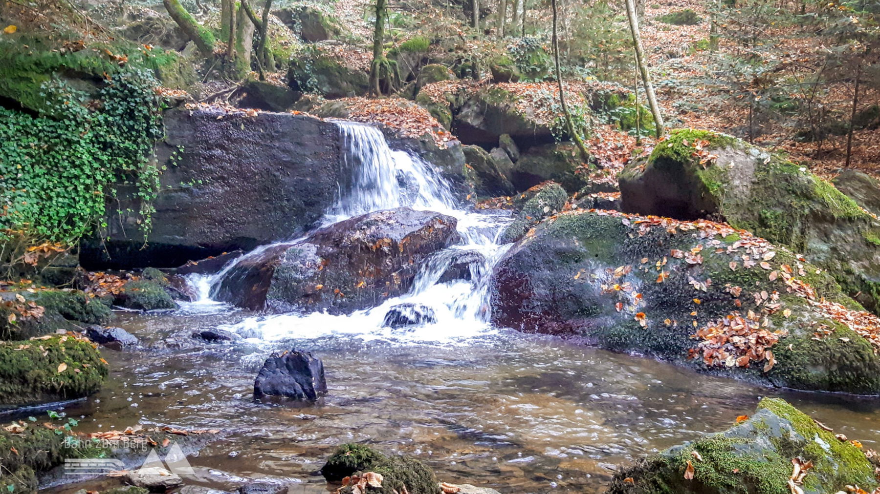 Steinbachklamm. Foto: Susanne Freissl