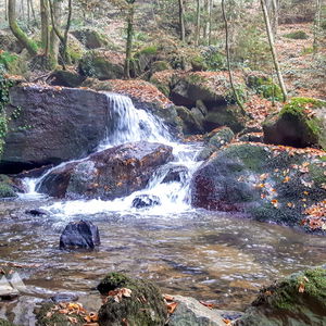 Gemütliche Herbstwanderung: Steinbachklamm – Maria Taferl – Artstetten