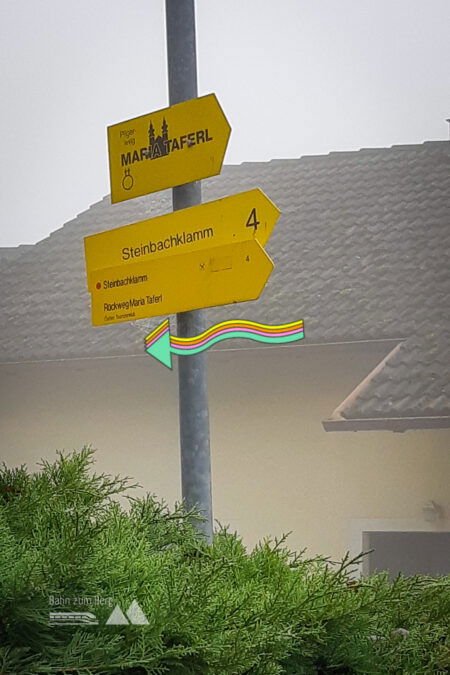 Foto: Susanne Freissl
