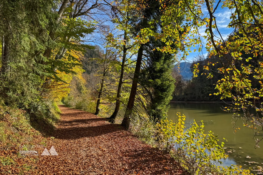 Hohenburger Weiher; Foto: Bernhard Walle