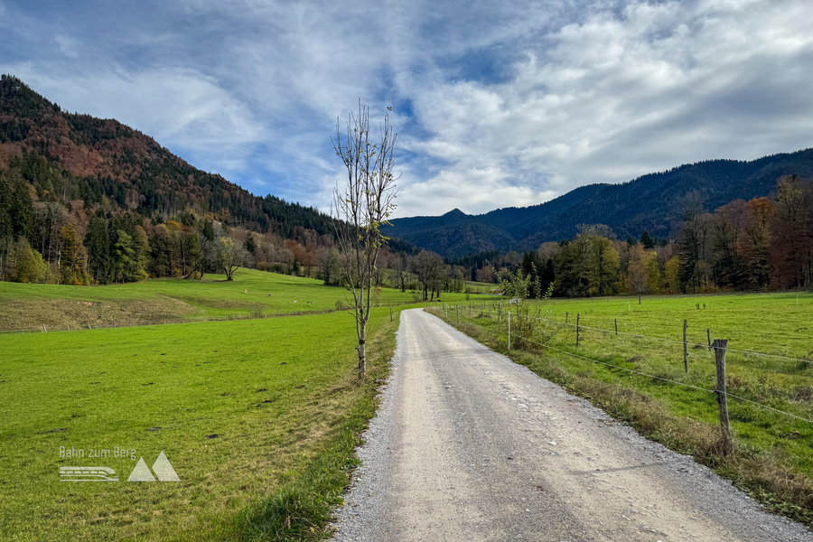Forstweg; Foto: Bernhard Walle