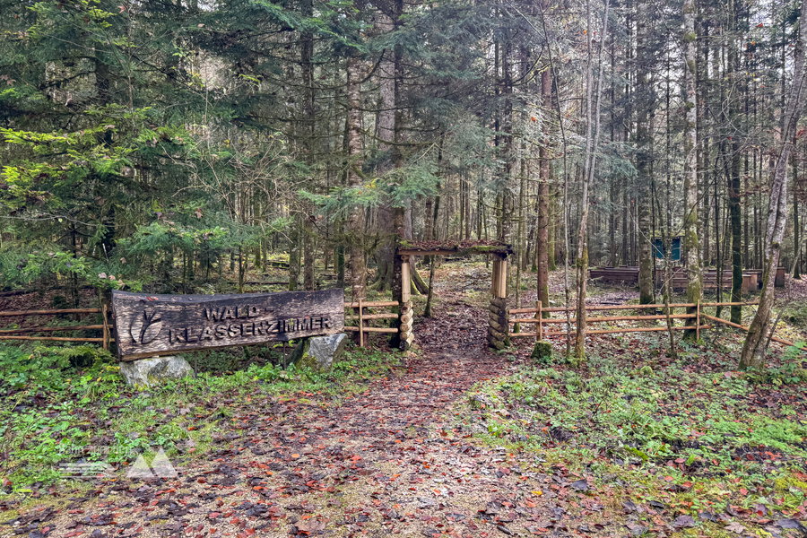 Waldklassenzimmer; Foto: Bernhard Walle