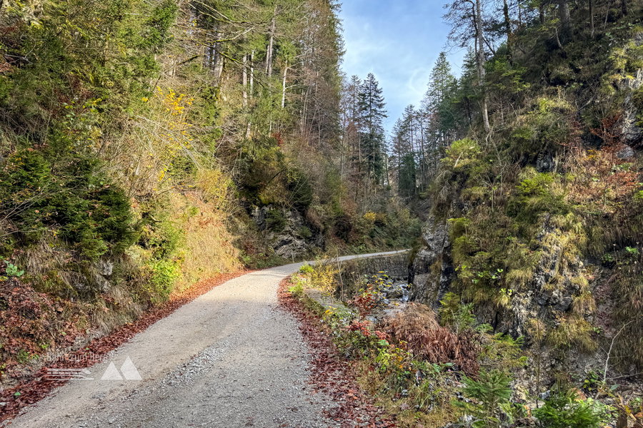 Weg entlang des Hirschbaches; Foto: Bernhard Walle