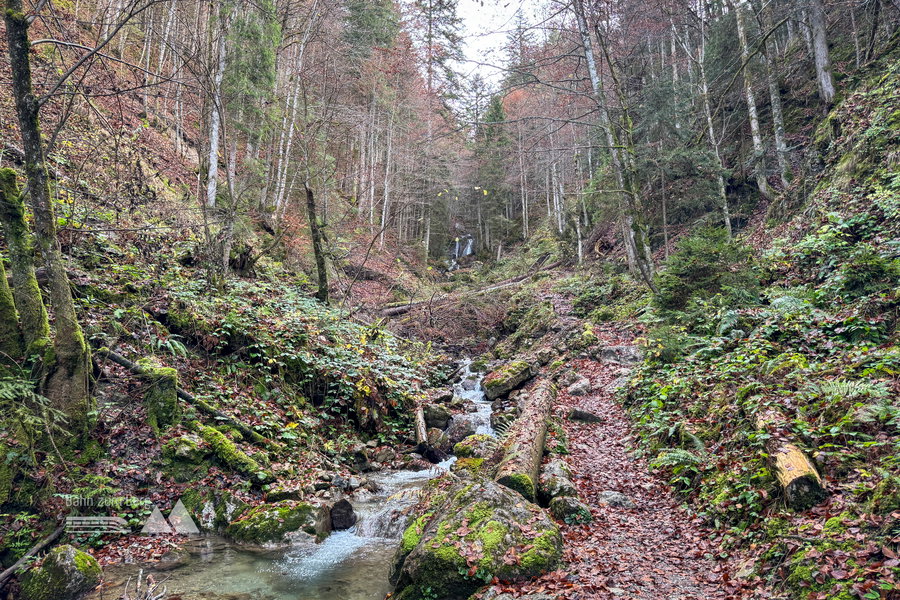 Sulzersteig; Foto: Bernhard Walle