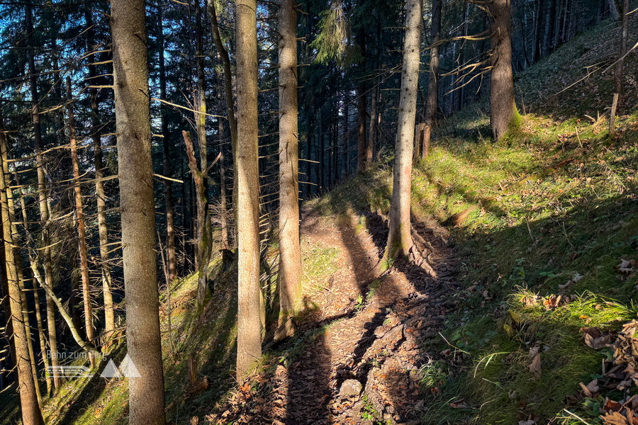 Grasleitensteig; Foto: Bernhard Walle