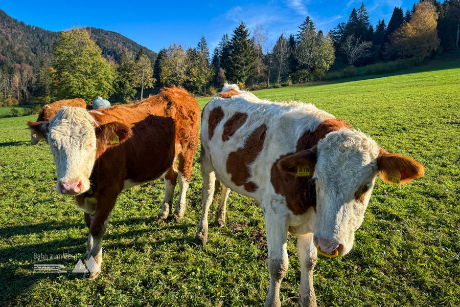 Foto: Bernhard Walle