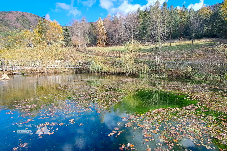 Fischteich beim Bauernhof in Atz. Foto: Gerold Petritsch
