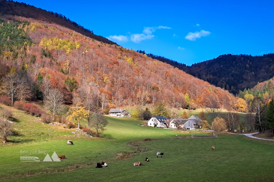 Weiden bei Atz. Foto: Gerold Petritsch
