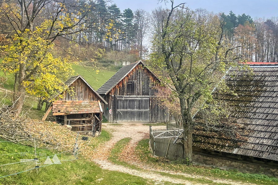 Abzweigung nach links. Foto: Ursula Truebswasser