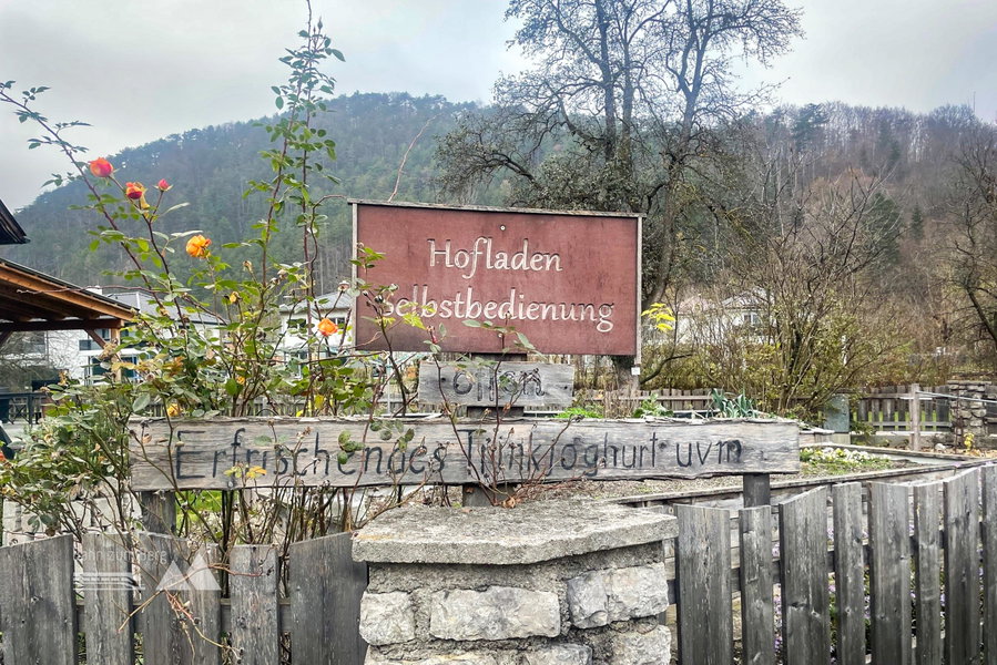 Mit Jogurt beladen geht es nach Hause. Foto: Ursula Truebswasser