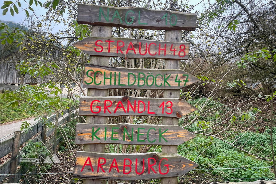 Abzweigung Richtung Kieneck. Foto: Ursula Truebswasser