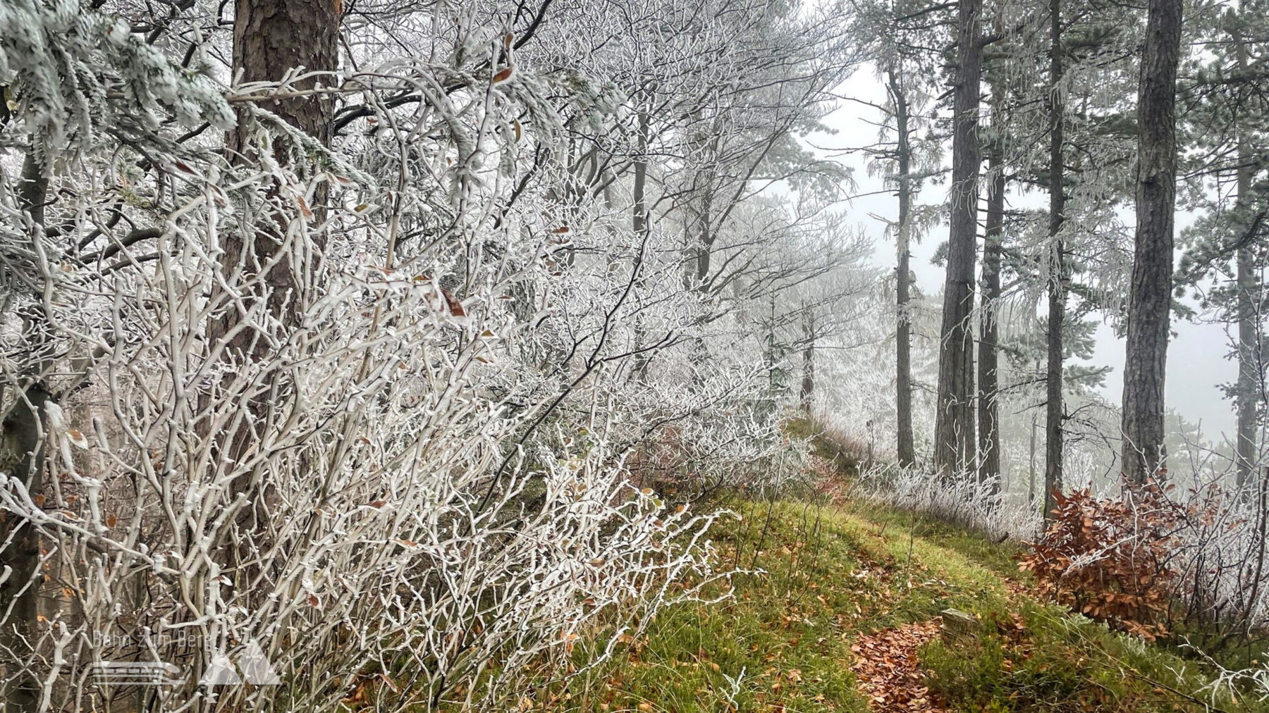 Winterwonderland. Foto: Ursula Truebswasser