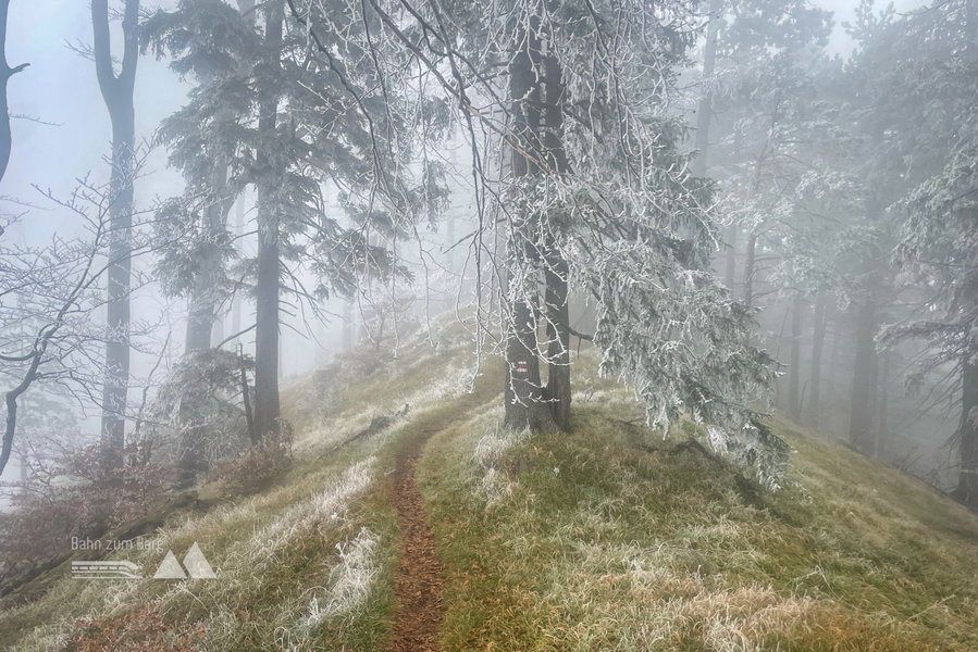 Weg zum Gaisruck. Foto: Ursula Truebswasser