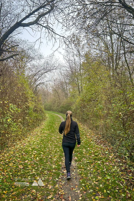 Durch den Dr.-Helmut-Zilk Park. Foto: Lisa, POW AT