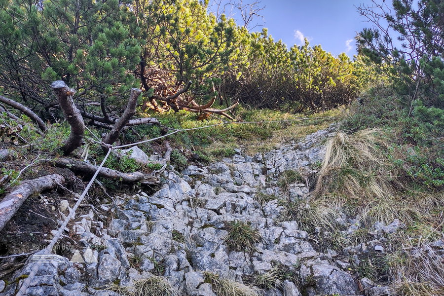 Latschen statt Bohrhaken, Kletterseil statt Stahlseil. Foto: Karl Plohovich