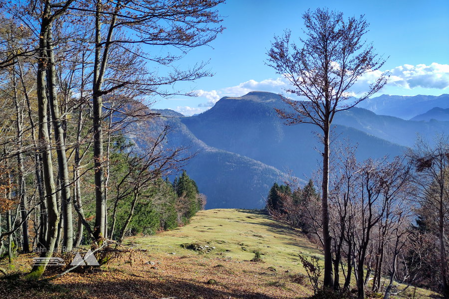Wie ein Tanzboden öffnet sich die Wiese der Gugelan Alm. Foto: Karl Plohovich