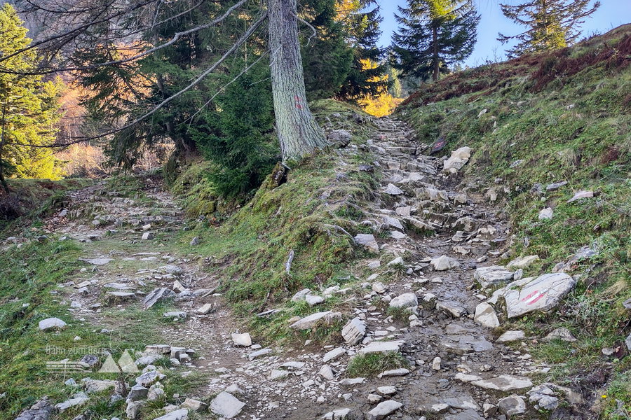 Für mein (verwöhntes) E-Bike ein veritabler Klettersteig (absitzen und bremsen!). Foto: Karl Plohovich