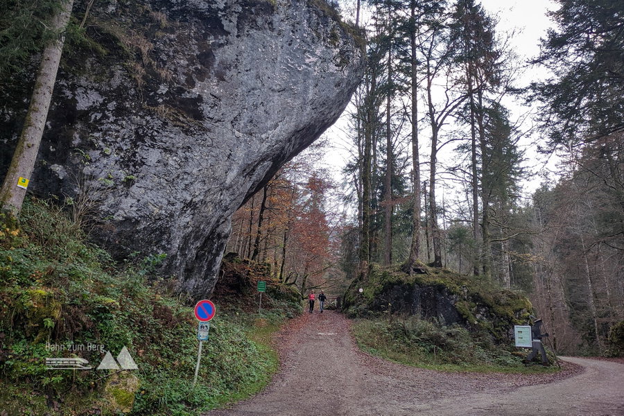 Ende des Forstweges – gleich beginnt der Asphalt (Liegt der Fels eh gut?). Foto: Karl Plohovich