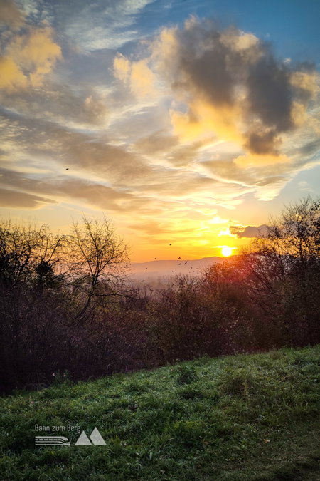 Angekommen am Wienerberg bei Sonnenuntergang. Foto: Lisa, POW AT