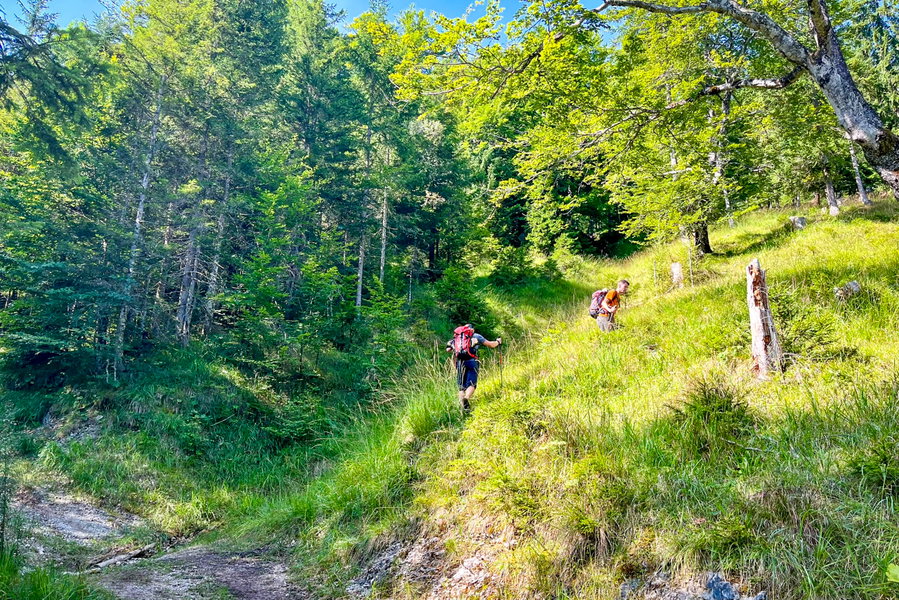 Etwas unscheinbar zweigt unmittelbar vor einem kleinen Rinnsal der Bergsteig ab. Foto: Fabian Lindner, POW DE