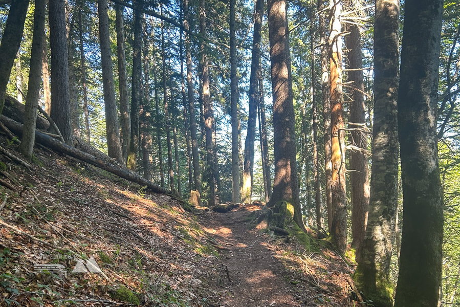 Im Aufstieg auf den Hohen Kranzberg. Foto: David Kurz