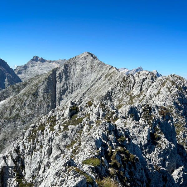 Der Bergkamm des Wetterstein-Massivs Richtung Westen. Foto: David Kurz